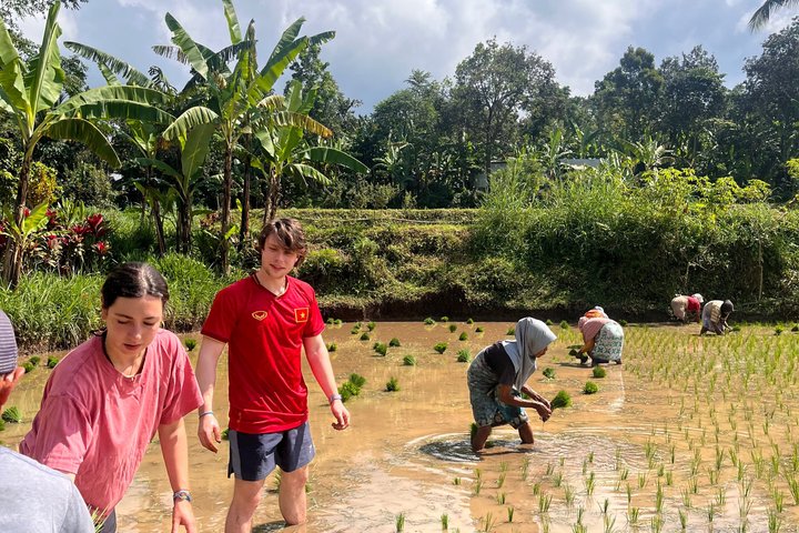 Tetebatu Private Trek Rice Fields Waterfall and Monkey Forest