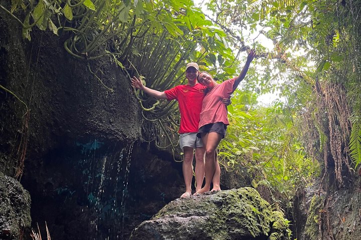 Tetebatu Private Trek Rice Fields Waterfall and Monkey Forest