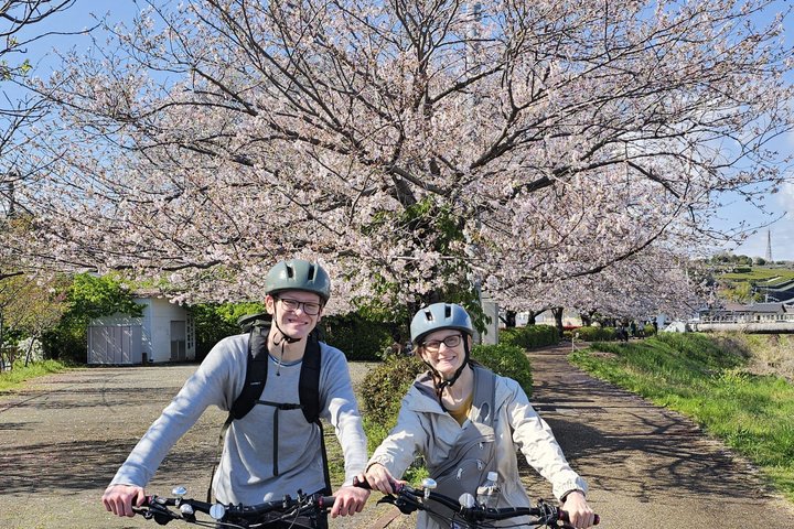 Mt. Fuji Private Guided E-Bike Tour : Fuji City