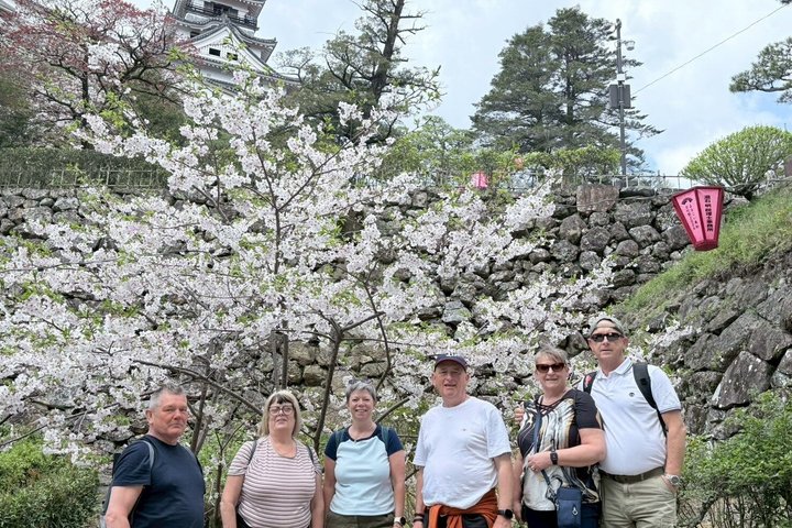 Best of Kochi Half-Day Tour: Castle & Hirome Market