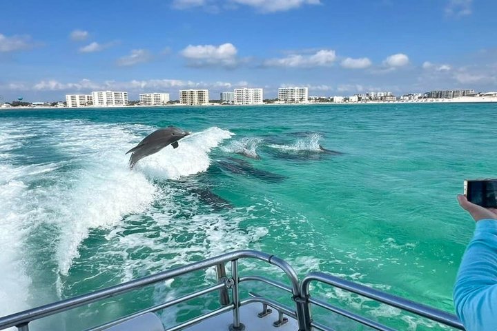 Dolphin & Sunset Cruises