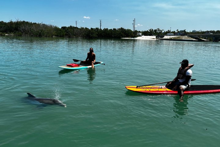 Daytona Beach Dolphin & Manatee Tour – Paddleboard or Kayak