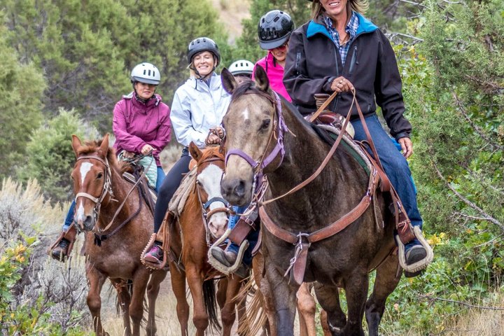 1 Hour Horseback Ride