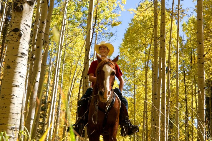 1 Hour Horseback Ride