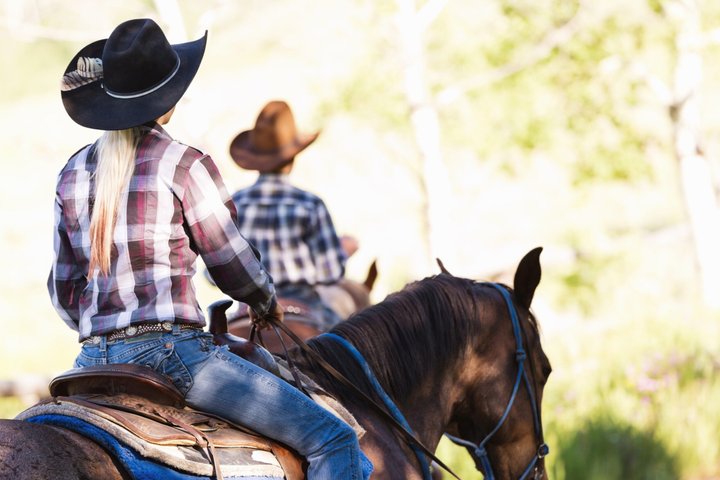 1 Hour Horseback Ride