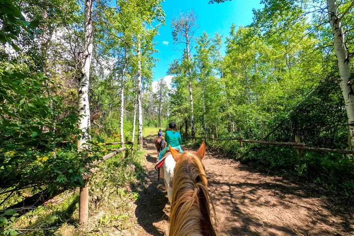 1 Hour Horseback Ride
