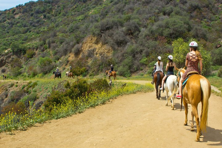 1 Hour Horseback Ride