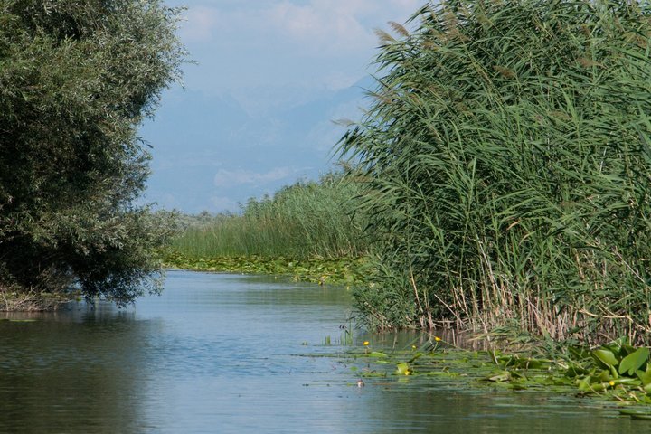 Virpazar Skadar Lake Boat Tour with Wildlife & Nature