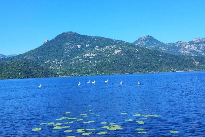 Virpazar Skadar Lake Boat Tour with Wildlife & Nature