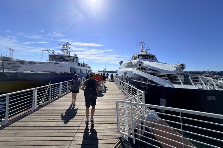 Table Mountain and Robben Island Tour with Pre Booked Tickets