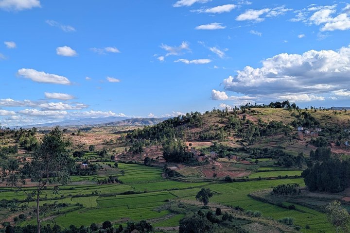 2-Day Antongona & Lemurs’ Park Camping Tour