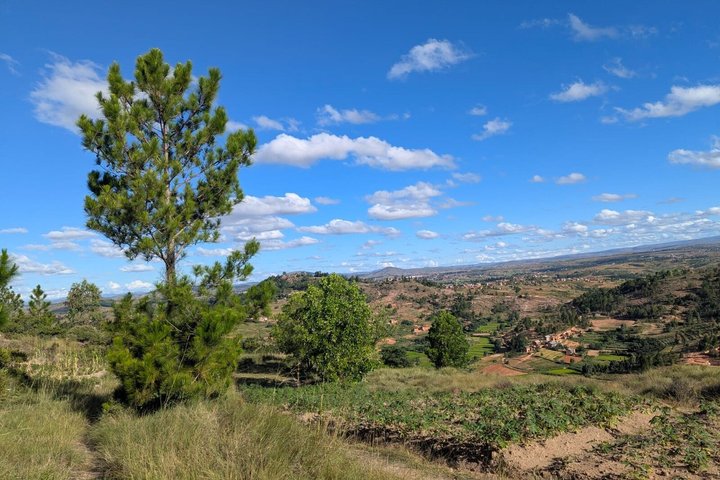 2-Day Antongona & Lemurs’ Park Camping Tour