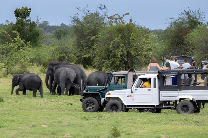 Hurulu Eco Park Private Safari