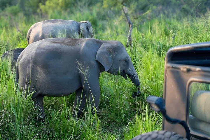 Hurulu Eco Park Private Safari