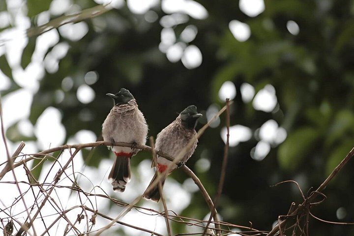 Hurulu Eco Park Private Safari