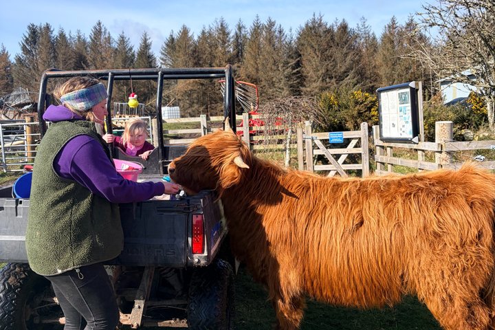 Invergordon or Inverness: Castles & Country Life Private Tour