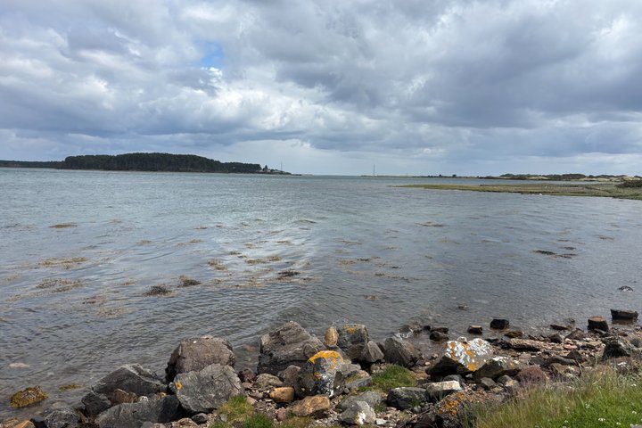 Invergordon or Inverness: Castles & Country Life Private Tour