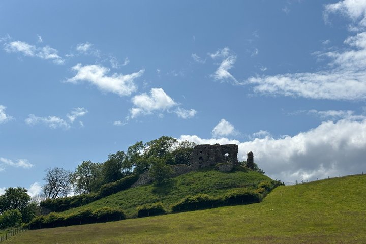 Invergordon or Inverness: Castles & Country Life Private Tour