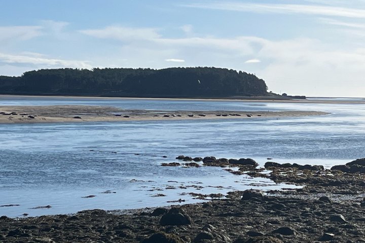 Invergordon or Inverness: Castles & Country Life Private Tour