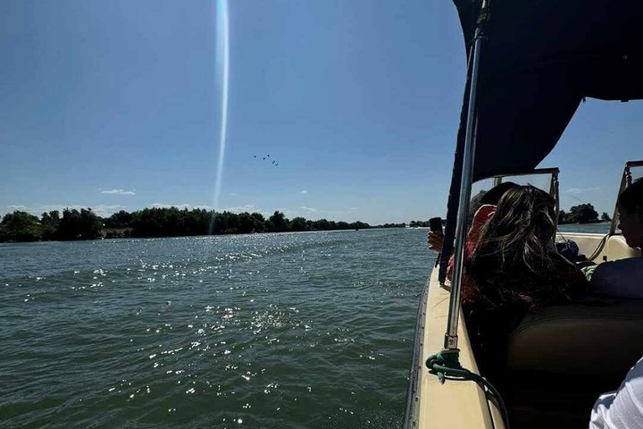 Danube Delta Experience: Wildlife Tour from Tulcea