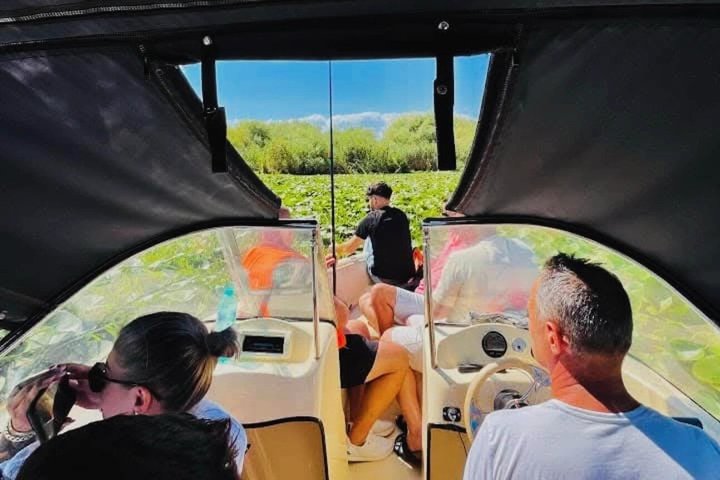 Danube Delta Experience: Wildlife Tour from Tulcea