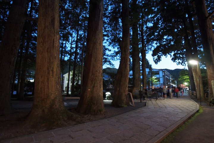 Koyasan Okunoin Night Tour Sacred Pilgrimage Experience