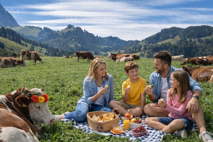 Gruyères Cheese and Chocolate tour from Geneva with local host