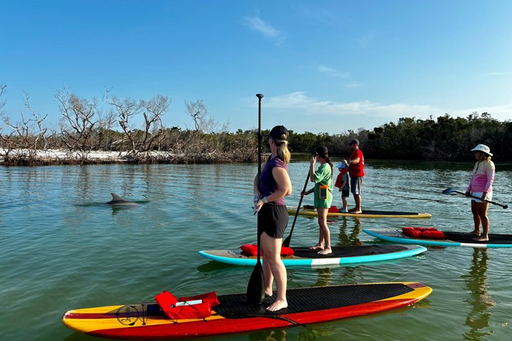 Daytona Beach Dolphin & Manatee Tour – Paddleboard or Kayak