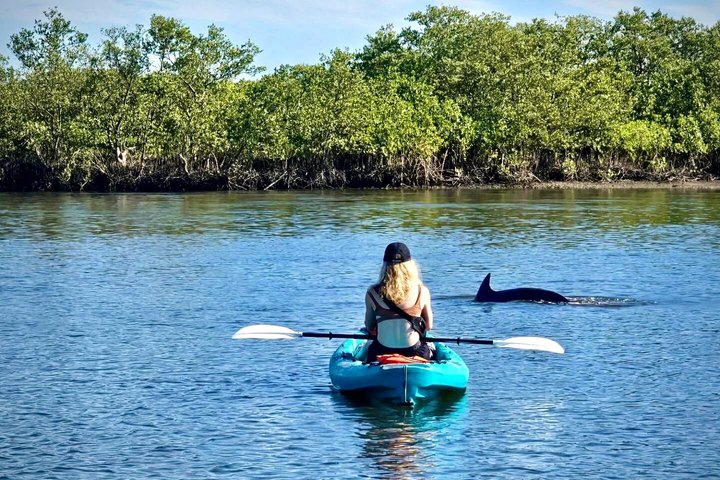 Daytona Beach Dolphin & Manatee Tour – Paddleboard or Kayak