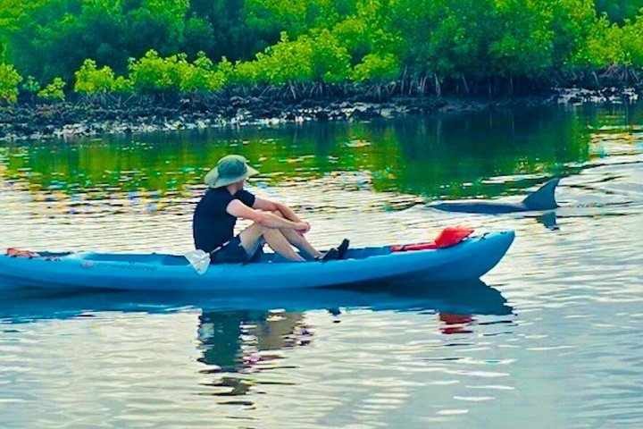 Daytona Beach Dolphin & Manatee Tour – Paddleboard or Kayak