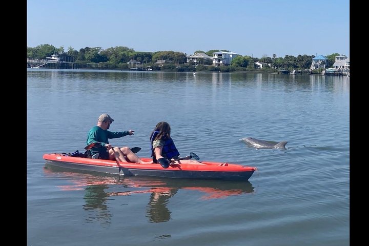 Daytona Beach Dolphin & Manatee Tour – Paddleboard or Kayak