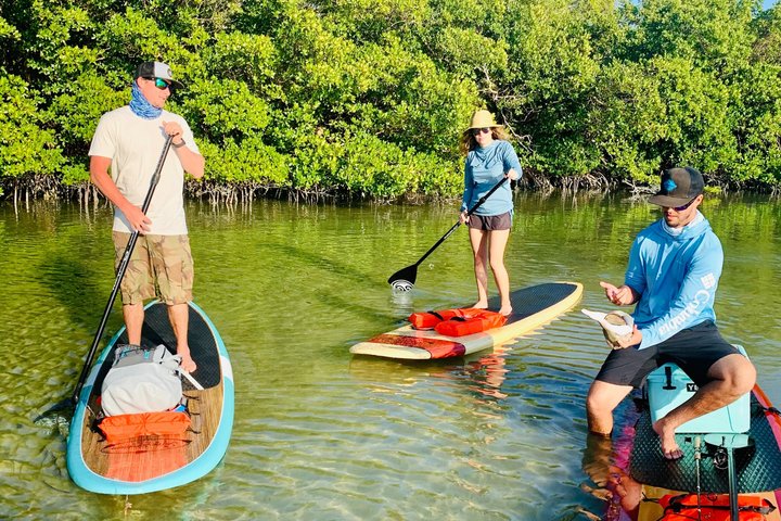 Daytona Beach Dolphin & Manatee Kayak Wildlife Adventure