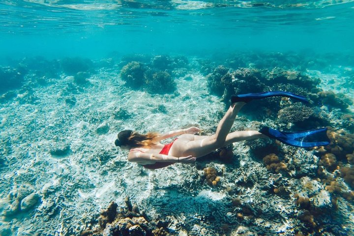 Espiritu Santo Island Tour with Sea Lion Snorkeling