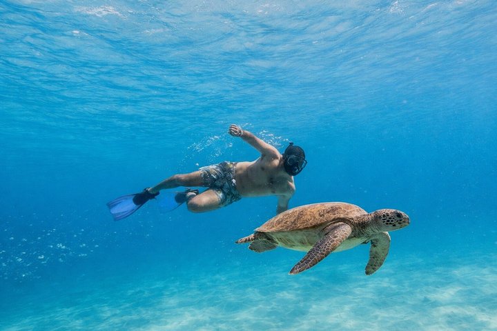 Espiritu Santo Island Tour with Sea Lion Snorkeling