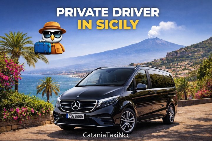 Private Tour of Syracuse Island of Ortigia and Noto