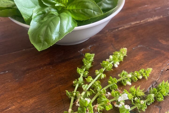 Cinque Terre: Authentic Pesto Cooking Class & Wine in Manarola