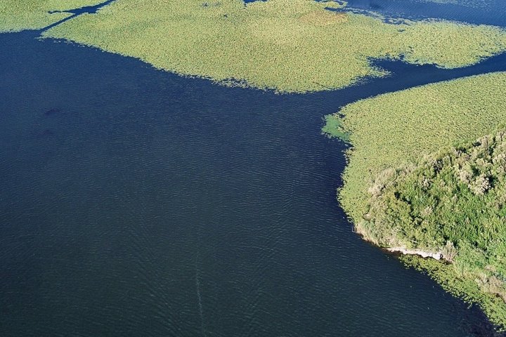 Virpazar Skadar Lake Boat Tour with Wildlife & Nature