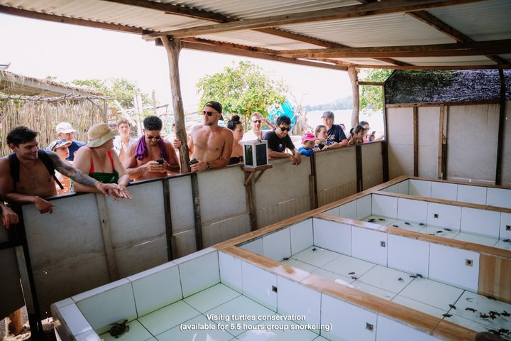 Group Snorkeling Tour Gili Islands Including GoPro Documentation