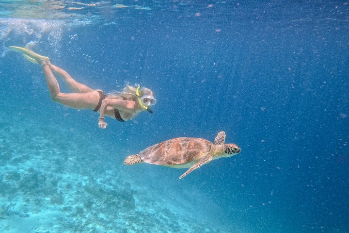 Group Snorkeling Tour Gili Islands Including GoPro Documentation