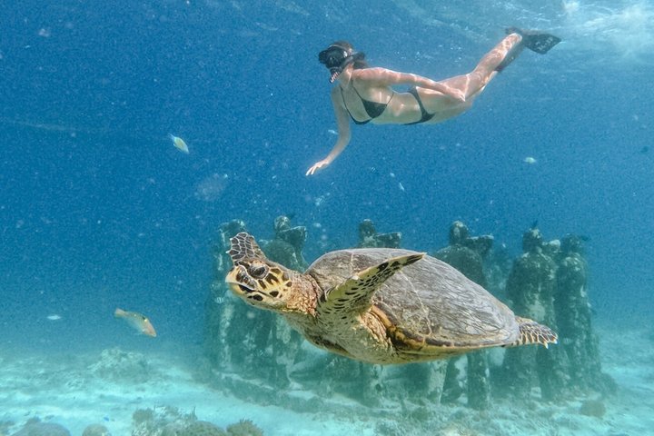 Group Snorkeling Tour Gili Islands Including GoPro Documentation