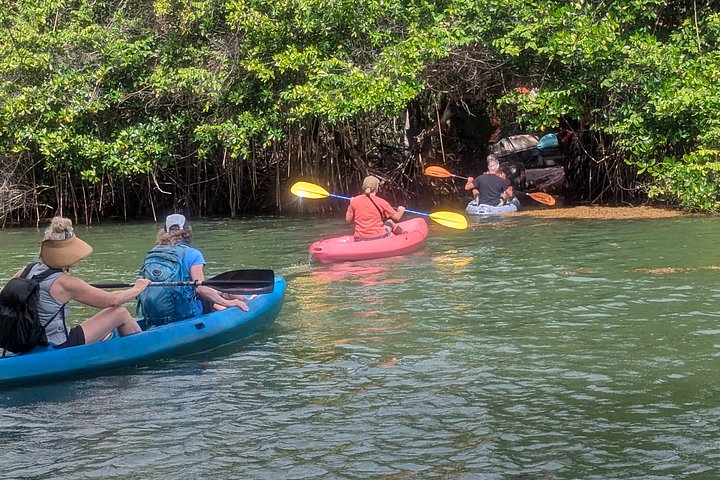 Hopkins Kayaking and Garifuna Cooking Experience