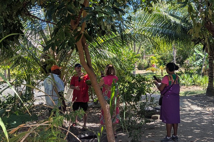 Hopkins Kayaking and Garifuna Cooking Experience