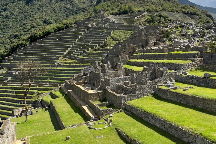 Private Guide and Photographs in MachuPicchu