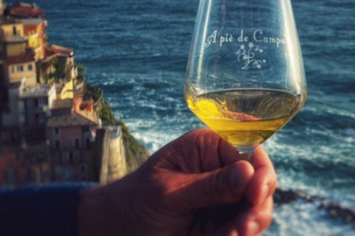 UNESCO Vineyards Tour & Wine Tasting in Manarola with a Sommelier