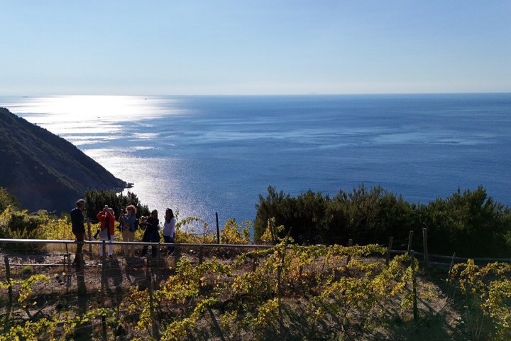 UNESCO Vineyards Tour & Wine Tasting in Manarola with a Sommelier