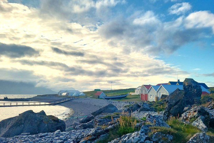 Vigur Island Tour with Return Boat Transfer from Ísafjörður