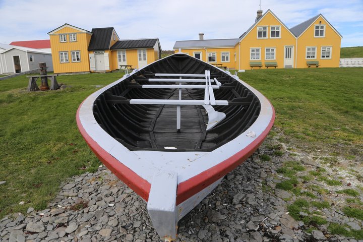 Vigur Island Tour with Return Boat Transfer from Ísafjörður