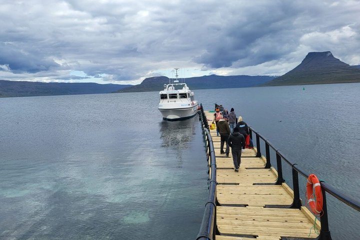 Vigur Island Tour with Return Boat Transfer from Ísafjörður