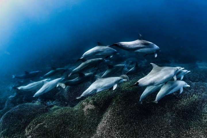 Nusa Penida Premium Day from Bali: Manta Rays, Yacht & Land Tour