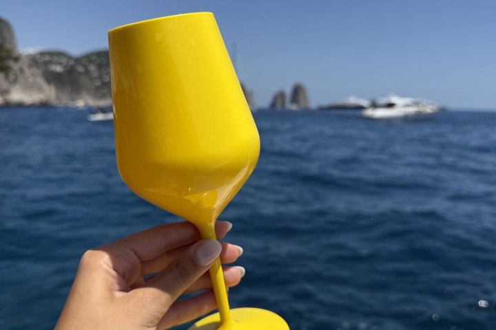 Small Group Day Trip to Capri from Positano or Praiano